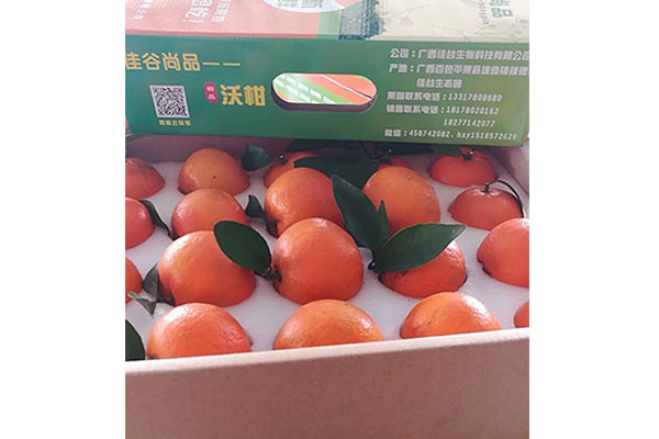 柑橘