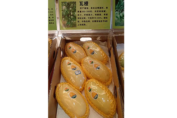 芒果