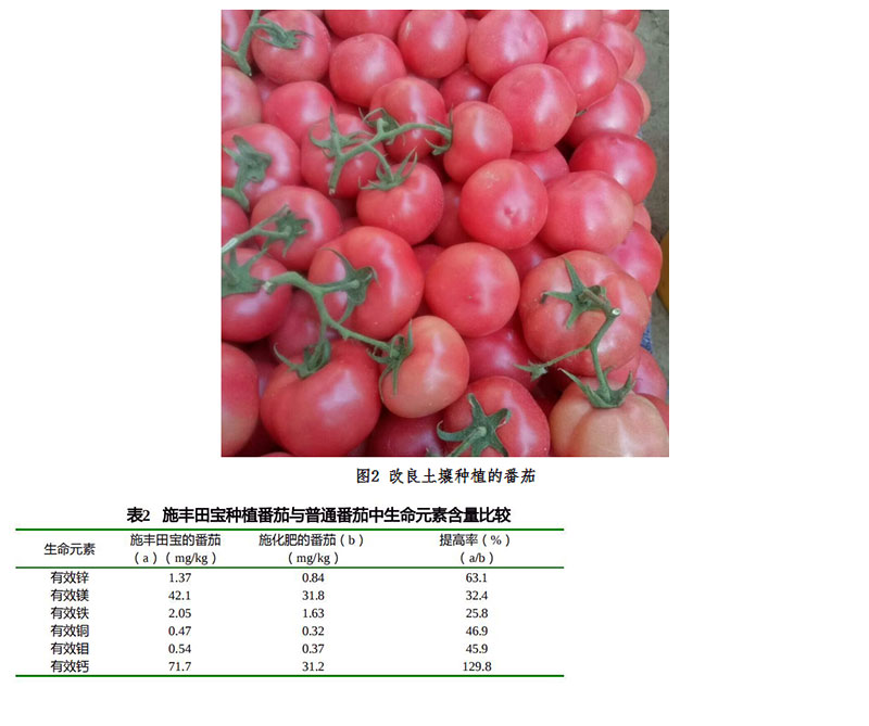 改良土壤可提高农产品中生命元素含量