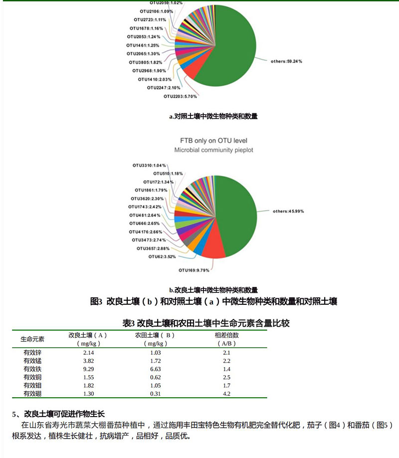 土壤中的生命元素和人类健康