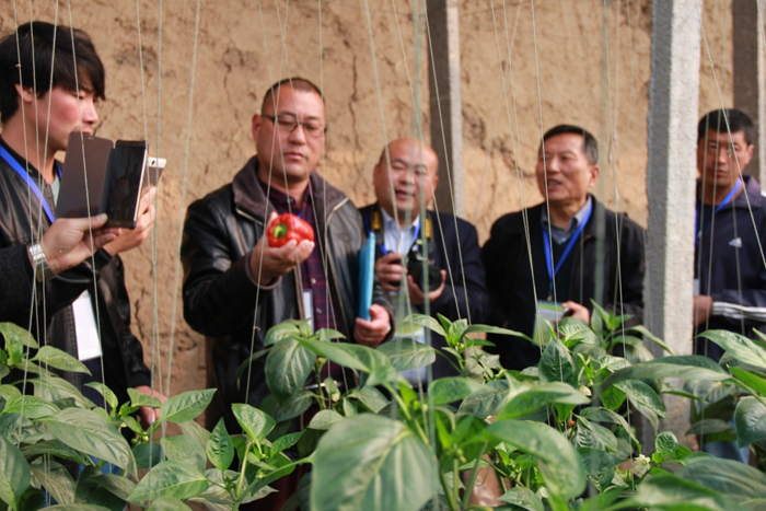 热烈祝贺安全果蔬生产现场观摩与产销合作洽谈会圆满成功