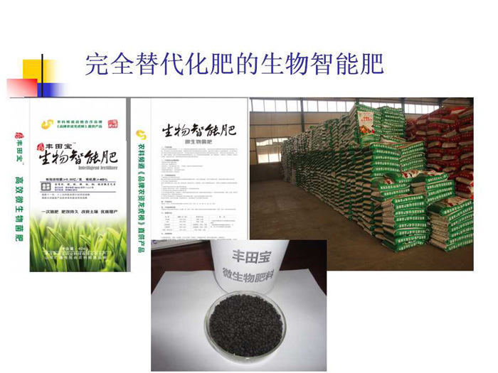 蔬菜连作土壤的生态改良