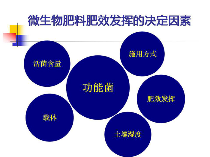蔬菜连作土壤的生态改良